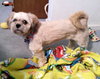 Becky Boo  ~  BEAUTIFUL GIRL!