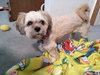 Becky Boo  ~  BEAUTIFUL GIRL!