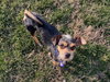 Beasley
