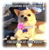 Phoebe Rose -