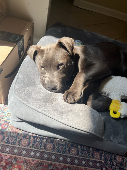 Ellie