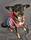 Doreinda