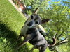 Sparky