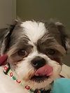 Charlie