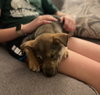 Kona