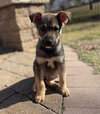 Kona