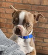 Remi