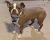 Remi