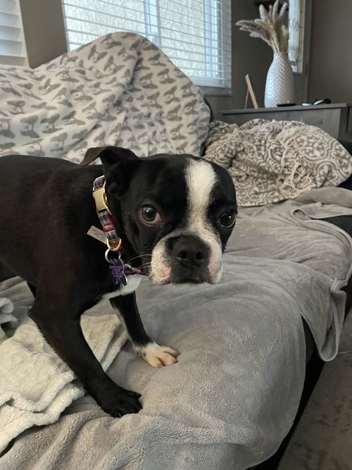 Winnie