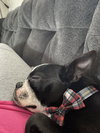 Winnie