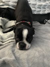 Winnie