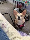 Penny Mae