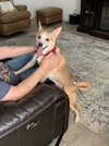 Penny Mae