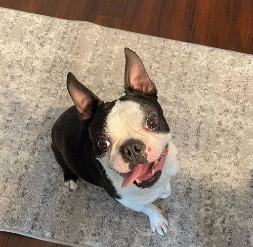 Oliver