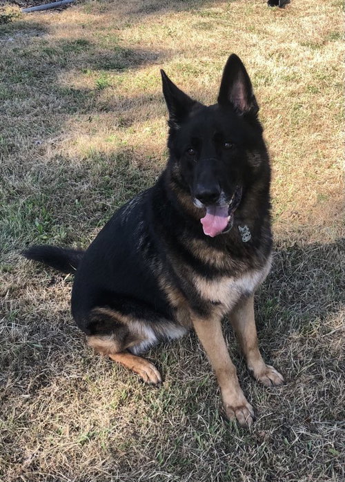 Odin