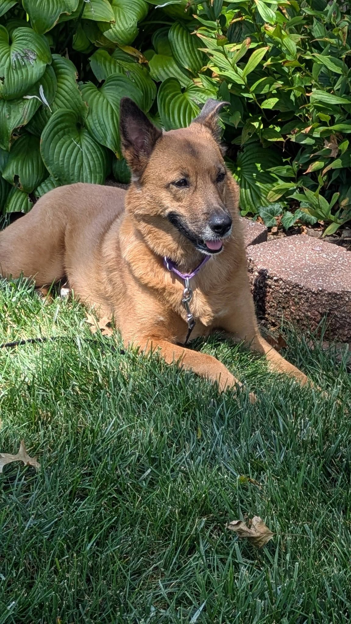 Seren Sadie, photo 2