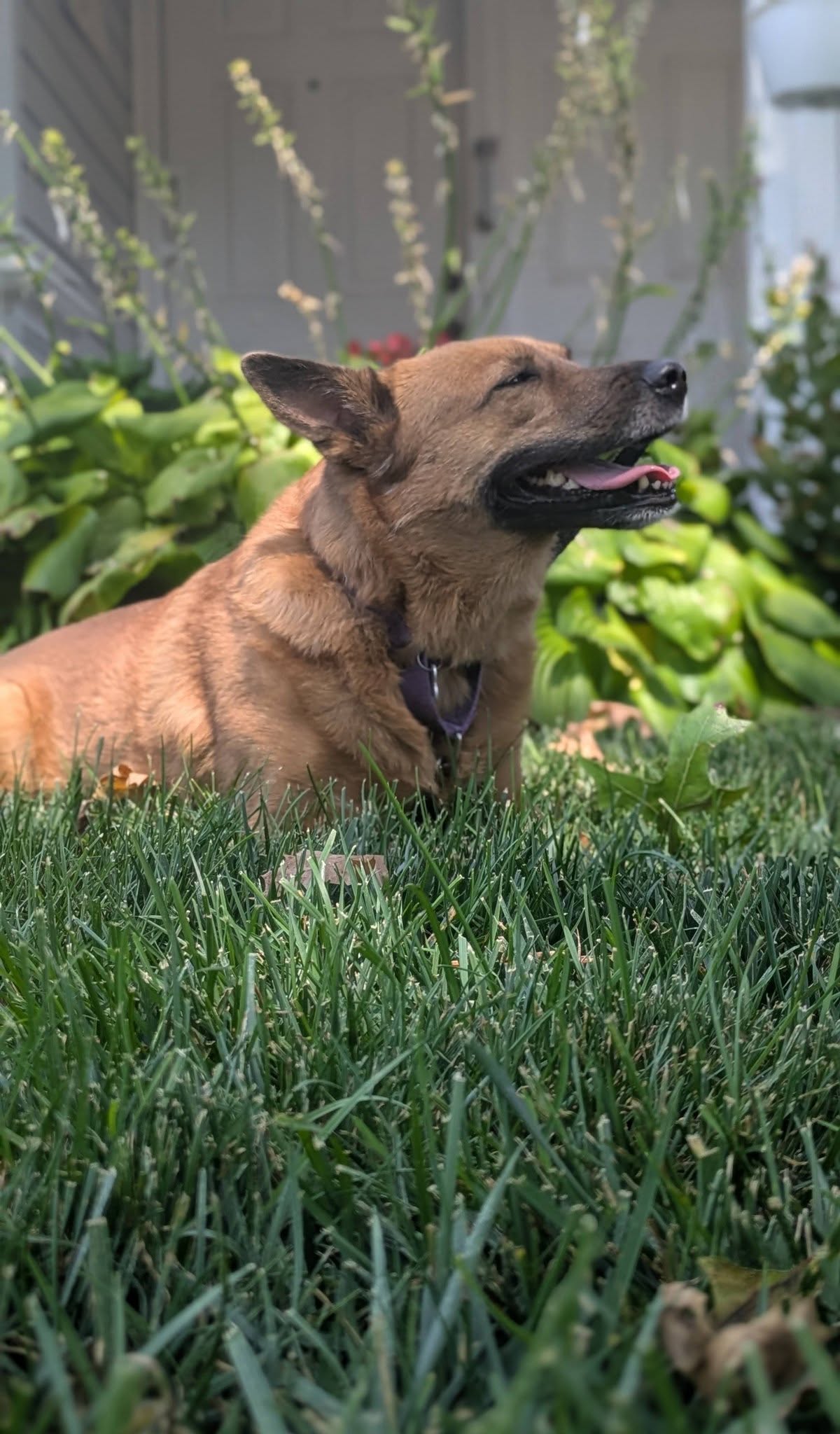 Seren Sadie, photo 5