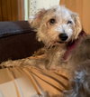 Sammy