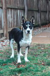 Lily Jo