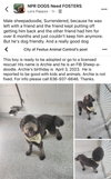 Archie