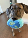 Nala