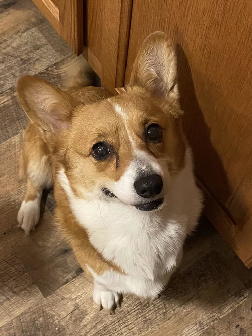 Edna