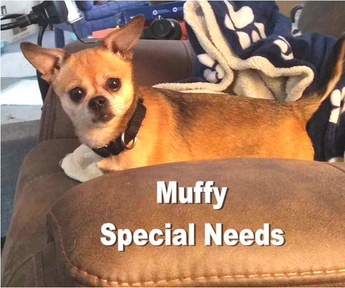 Muffy  
