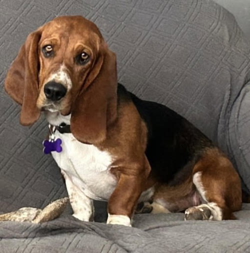 Basil Betty
