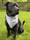 Lennox