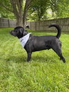 Lennox