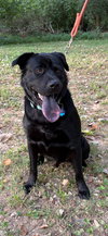 Lennox