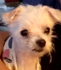 Darla