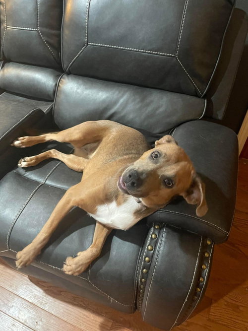 Penny Jane