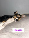 Bessie