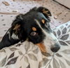 Marble Maggie