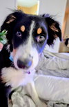 Marble Maggie