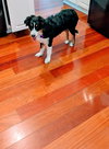Marble Maggie