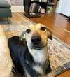 Ellie