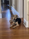 Ellie
