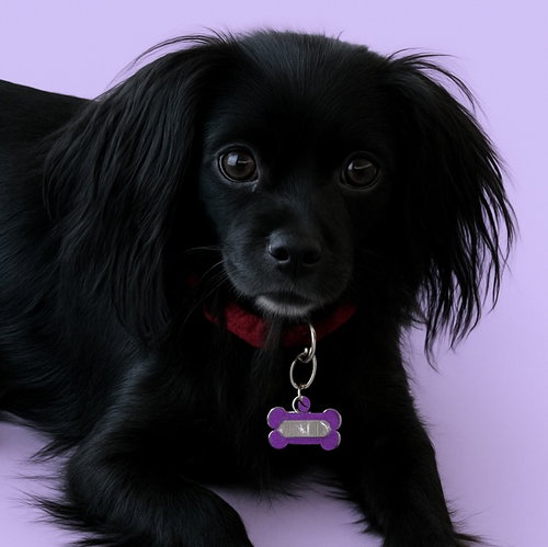 Nellie