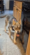 Keesha