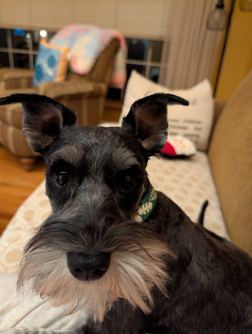 Etta