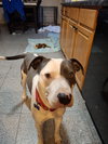 Jillian