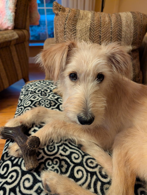 Max