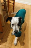 Snoopy