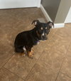 Oscar