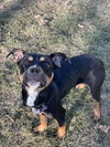 Oscar