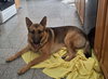 Zeus
