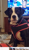 Terra