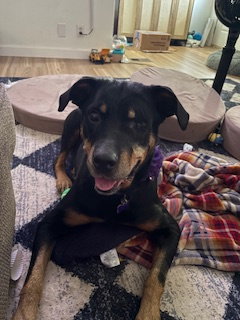 Brandie, photo 3